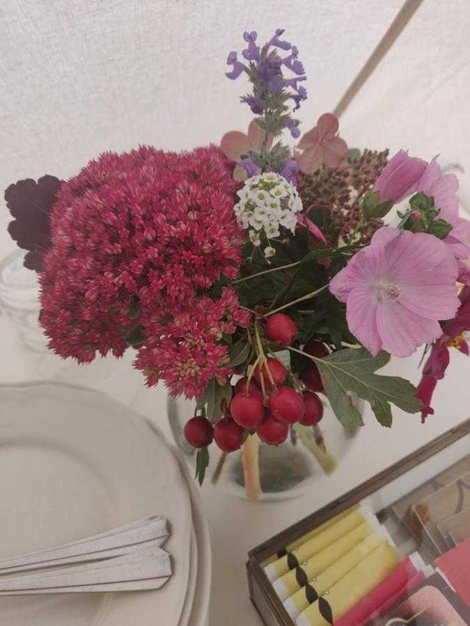 Apartament Glamping Och Gardslagenhet Mellan Himmel Och Hav Skivarp Zewnętrze zdjęcie