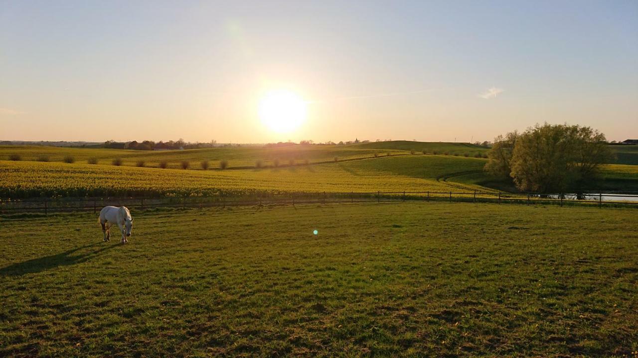 Apartament Glamping Och Gardslagenhet Mellan Himmel Och Hav Skivarp Zewnętrze zdjęcie
